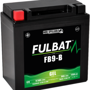 FB9-B GEL (12N9-4B-1)